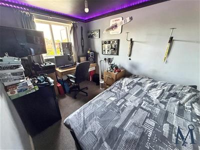Picture 15